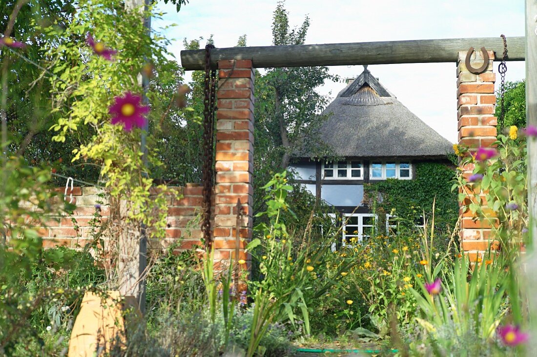 A view of a thatched roof house with a wild garden, Quilitz in Lieper Winkel, Usedom, Mecklenburg-Vorpommern
