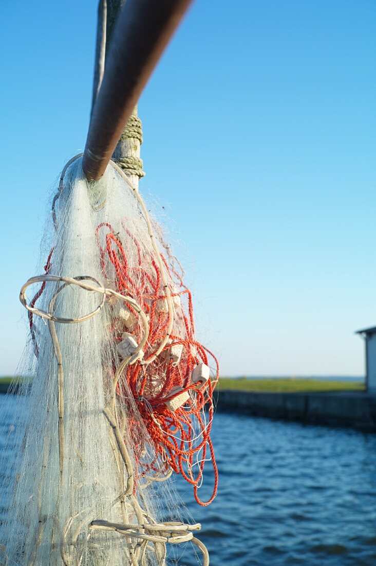 A fishing net at dusj near Kamminke on Stettiner Haff, Usedom, Mecklenburg-Vorpommern