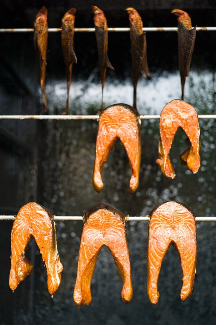 Smoked salmon in a smoking oven, Heringsdorf on the island of Usedom