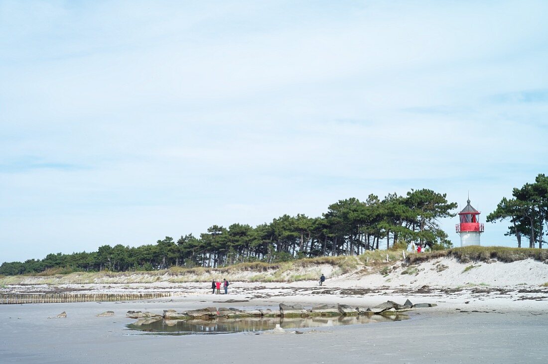 A view of the Süder lighthouse from the beach on Hiddensee, Mecklenburg-Vorpommern