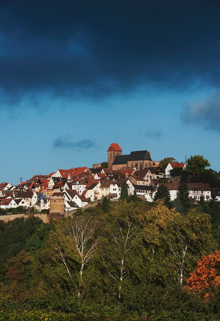 The wine town of Neuleiningen (Rhineland Palatinate)