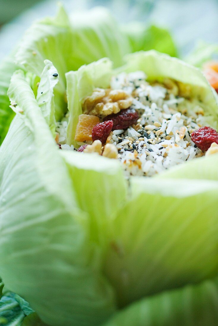 White cabbage stuffed with rice and dried fruit