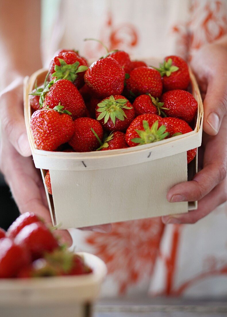 Hände halten Spankorb mit Erdbeeren