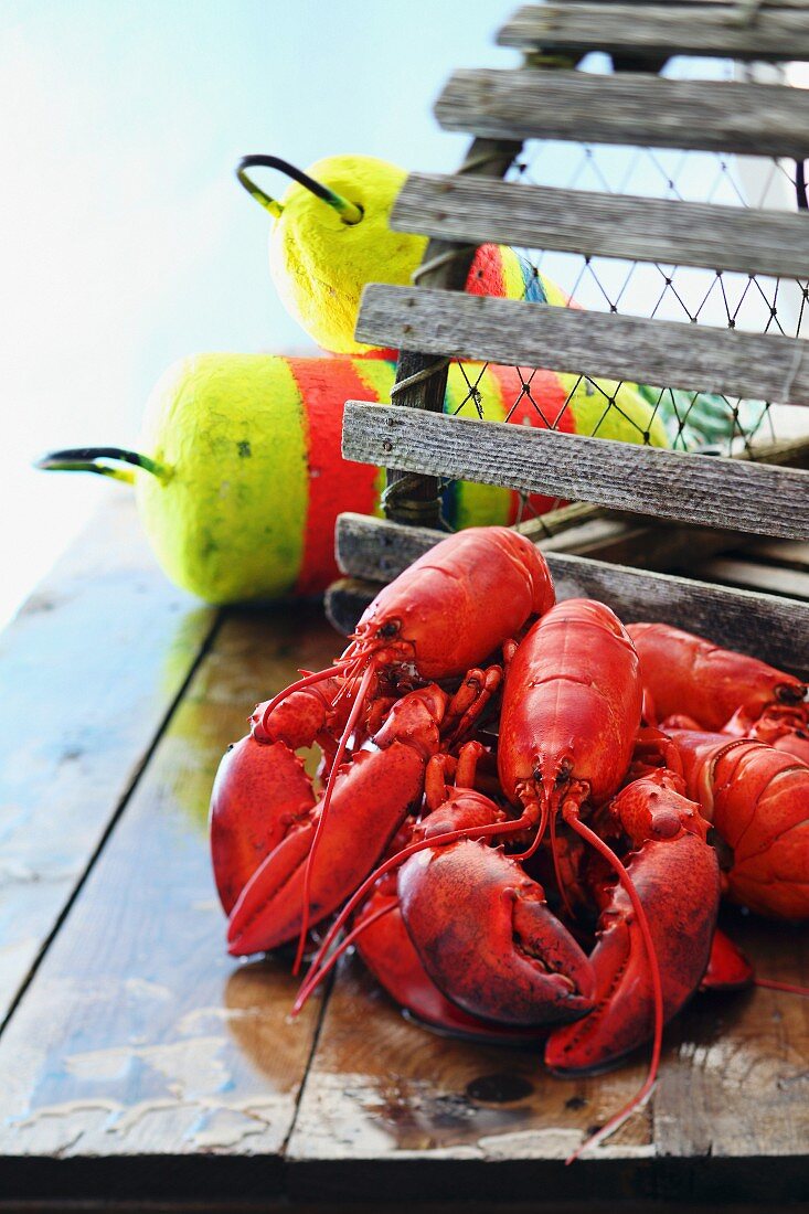 Lobsters on a jetty