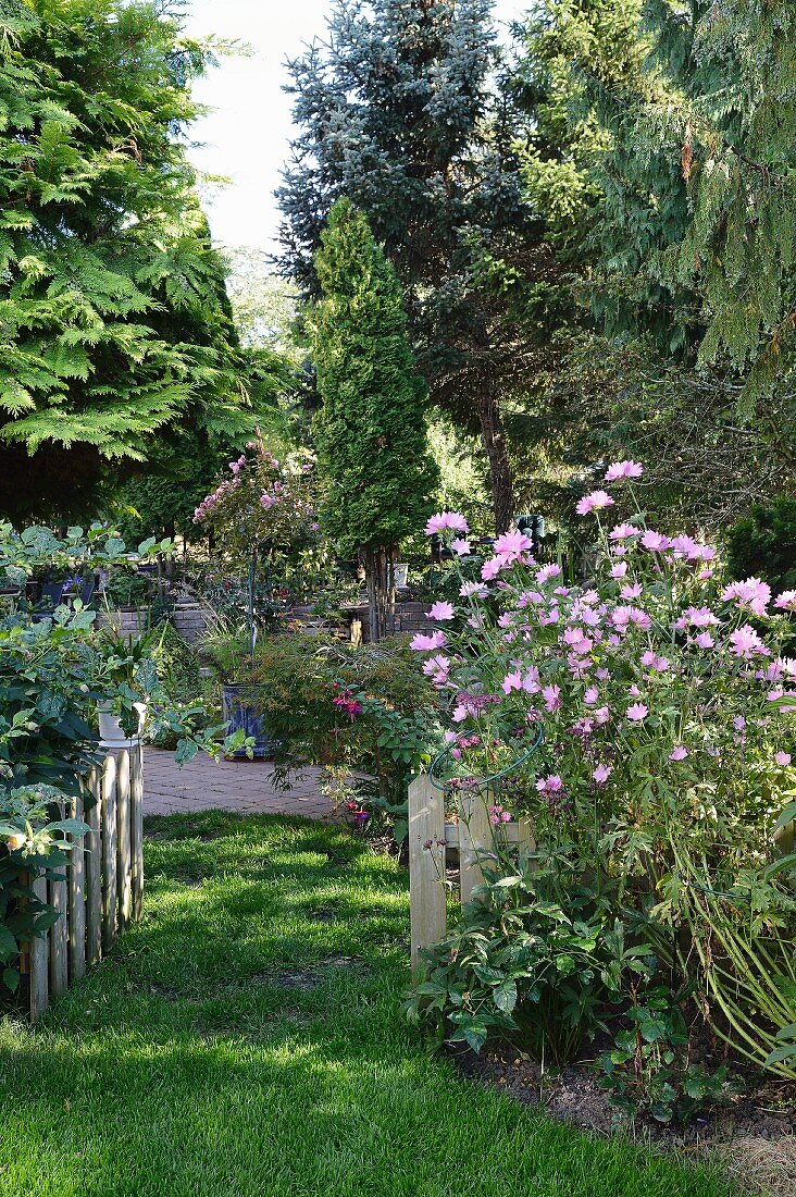 Blick in sommerlichen ländlichen Garten mit geöffnetem Gartentor