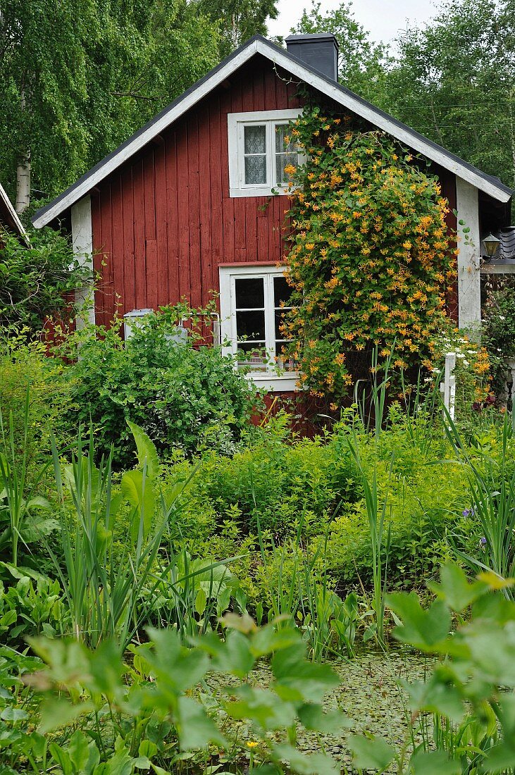 Wooden cabin in densely planted garden
