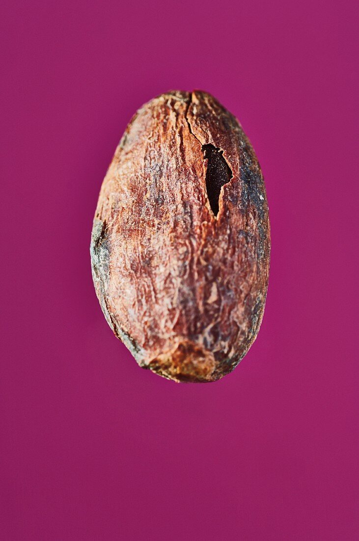 A cocoa bean on a purple surface