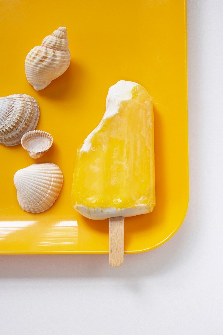 An arrangement of seashells and fruit flavoured ice cream stick