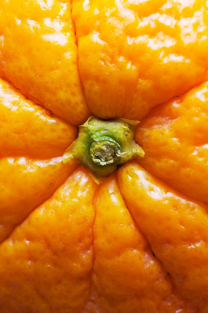Close-up of navel orange