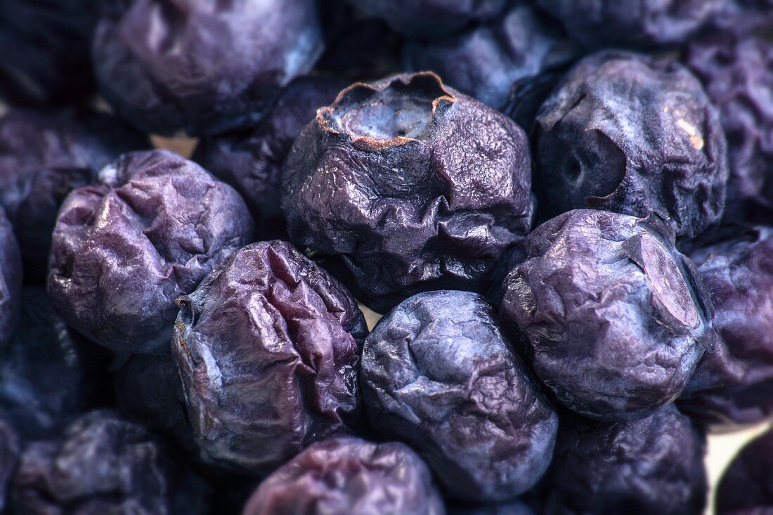 Mouldy blueberries (close-up)