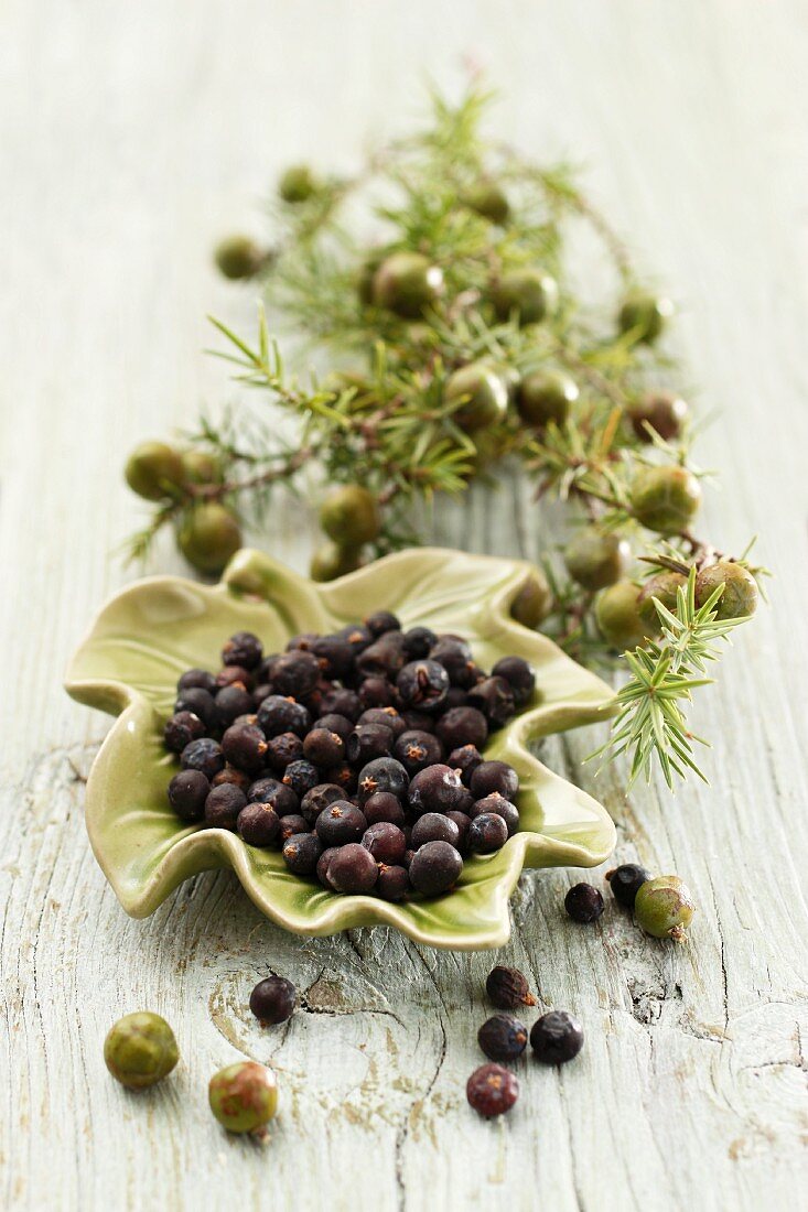 Wacholderzweig mit Beeren und getrocknete Wacholderbeeren