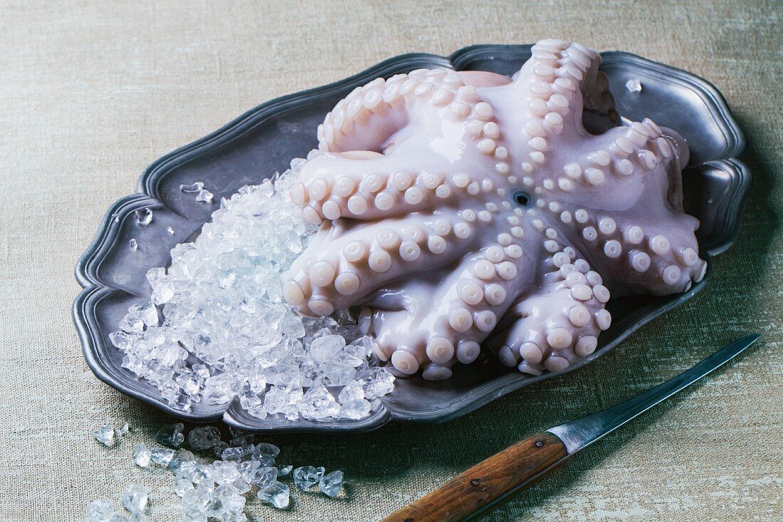 Raw octopus on ice