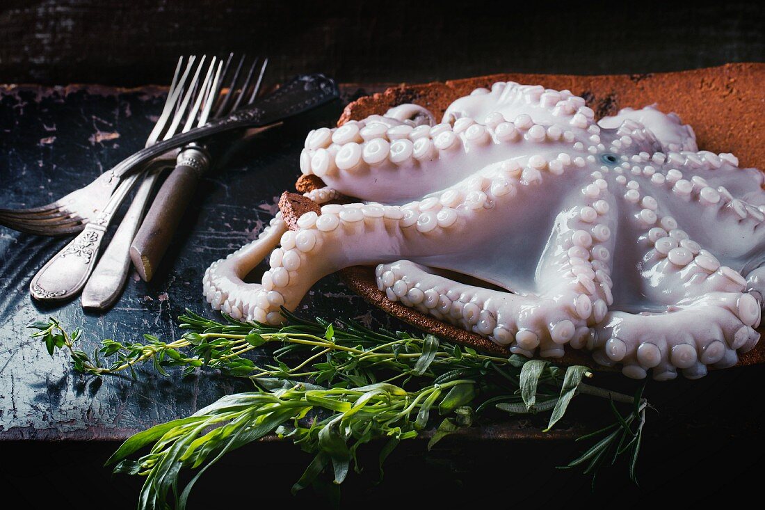 Raw octopus with herbs on a terracotta plate