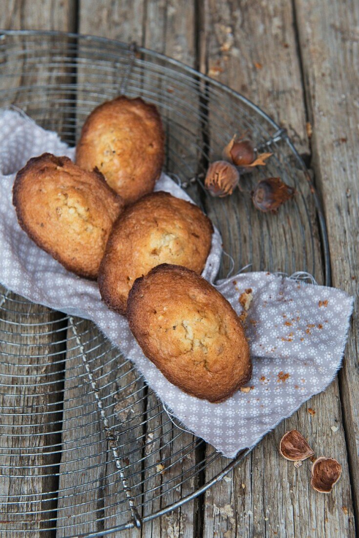 Haselnuss-Madeleines auf Abkühlgitter