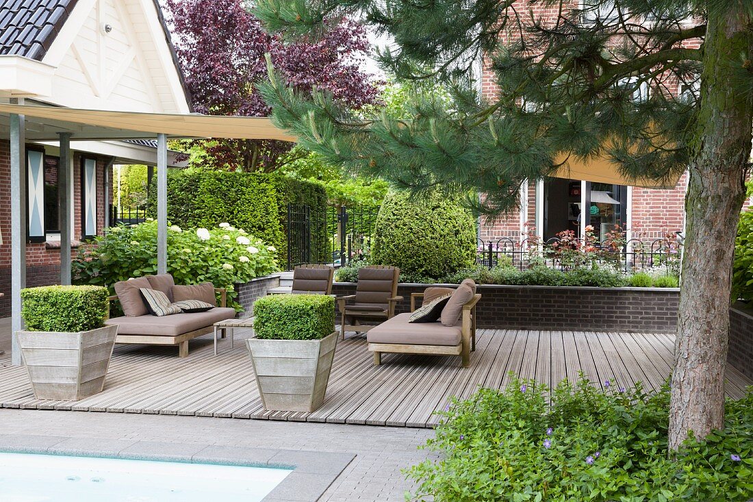 Pflanzkübel mit formgeschnittenem Buchsbaum auf Holzterrasse mit Sonnensegel