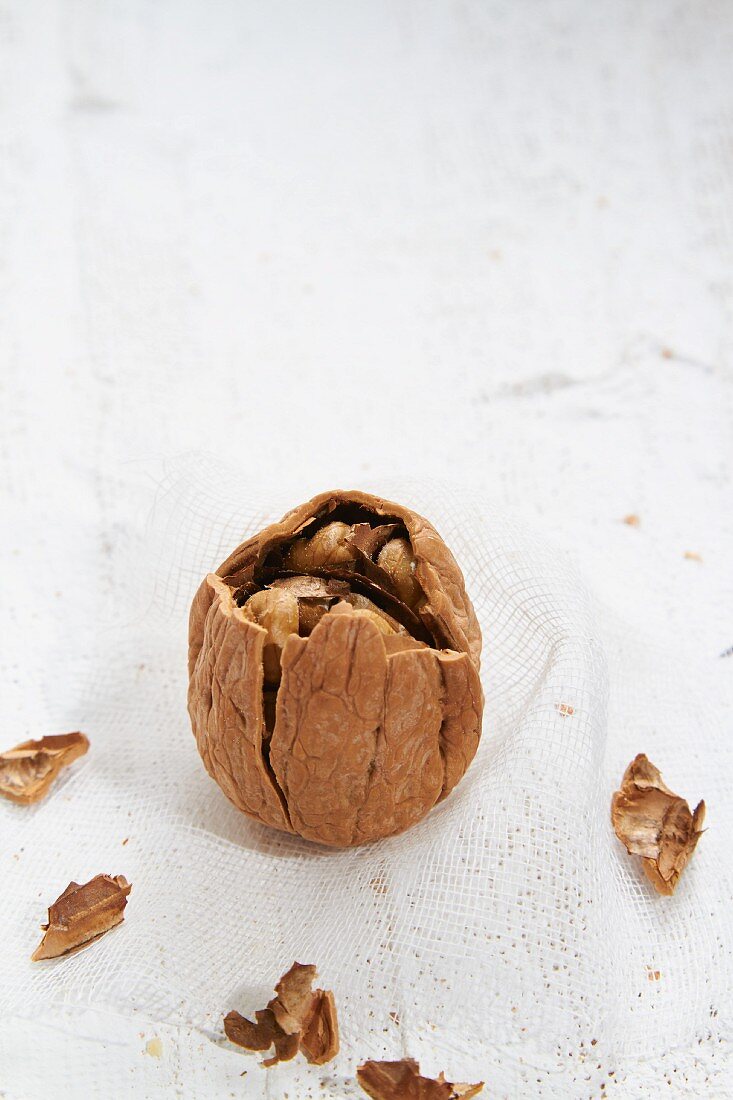 A cracked walnut