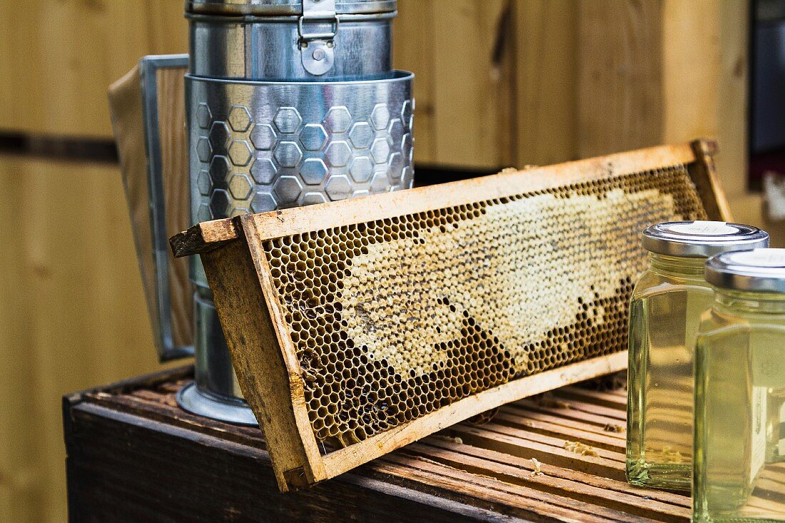 A honeycomb and beekeeping equipment