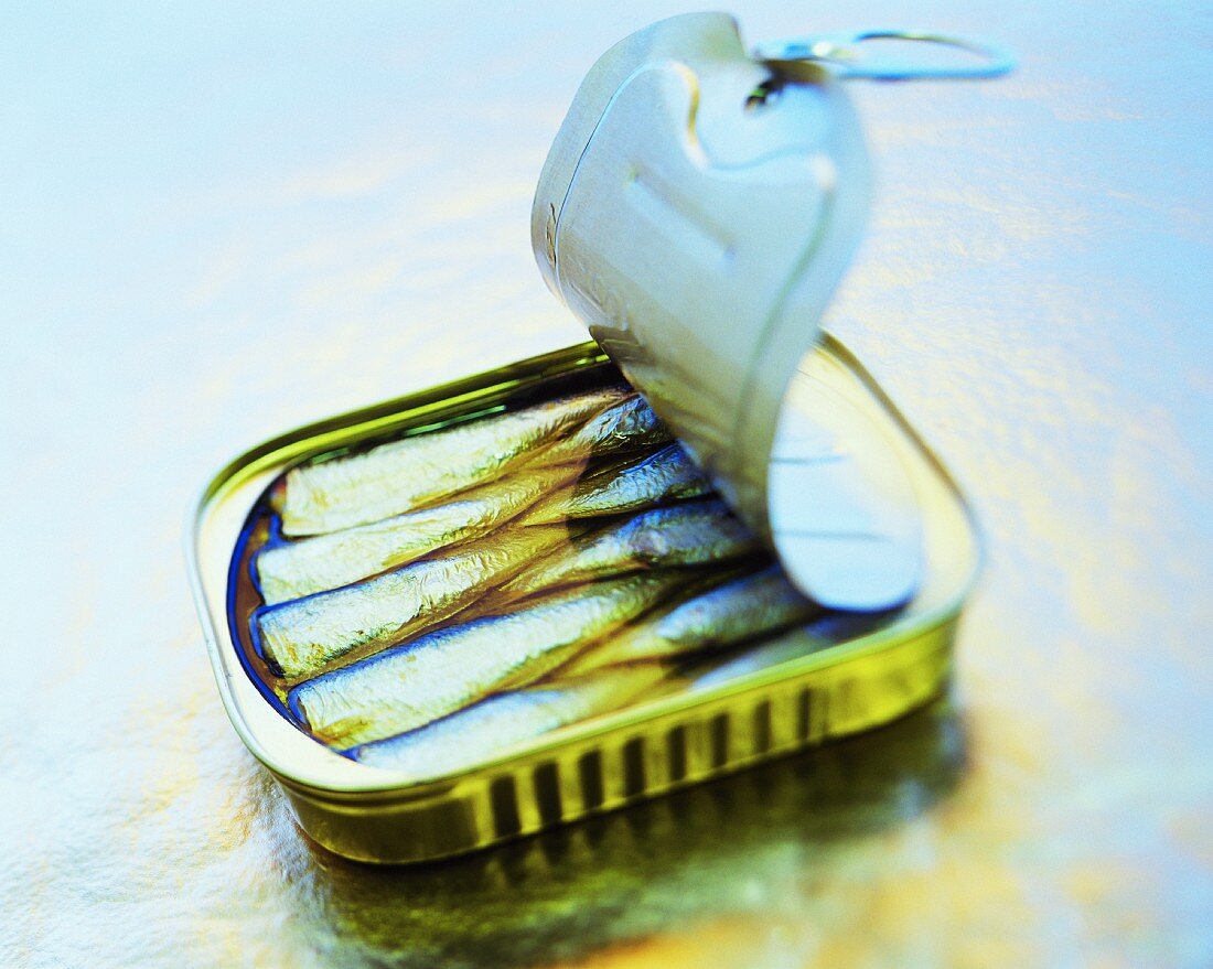 Opened Can of Sardines with Fork