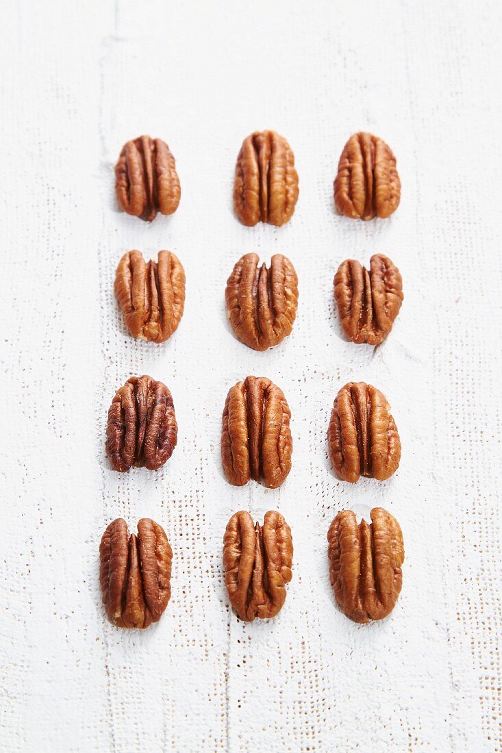 Rows of pecan nuts