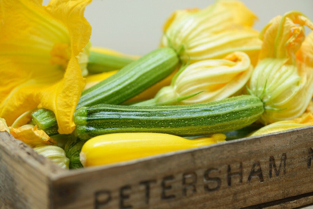 Zucchini mit Blüten in einer Steige