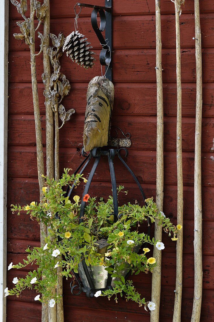 Pot of annual petunias and wooden head hung on wooden wall