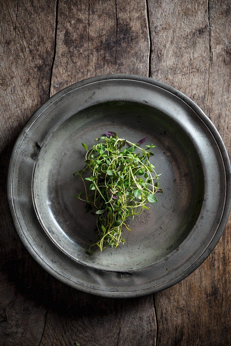 Thyme on a pewter plate