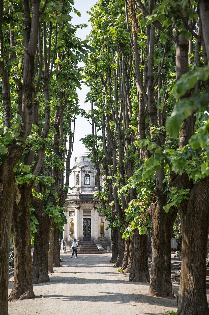 A tree-lined avenue leading to the Mausoleum der Familie Moretti, Cimitero Monumentale, Milan