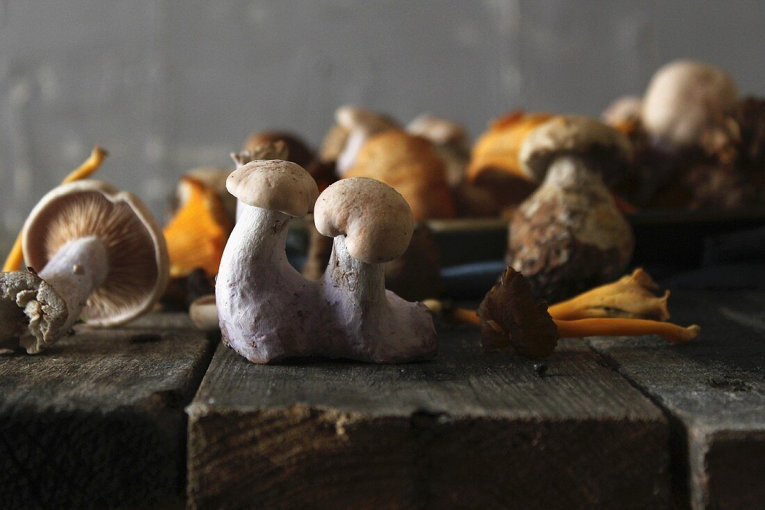 Assorted mushrooms