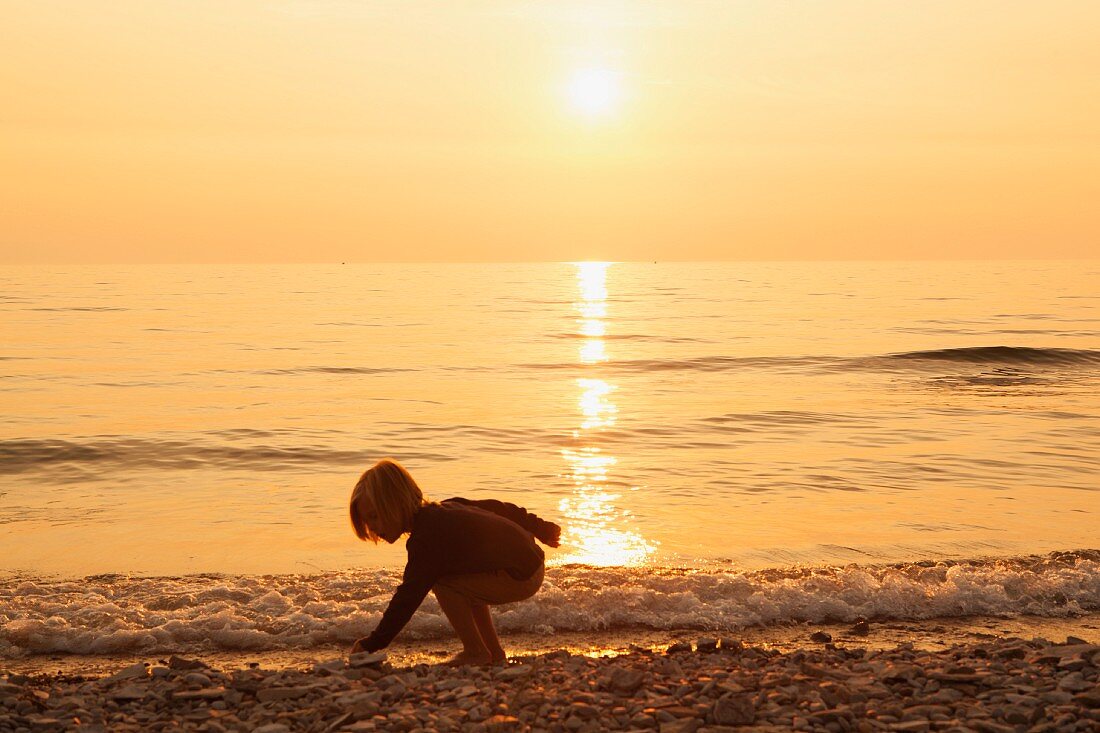 Kleinkind sammelt Muscheln am Meer bei Sonenuntergang