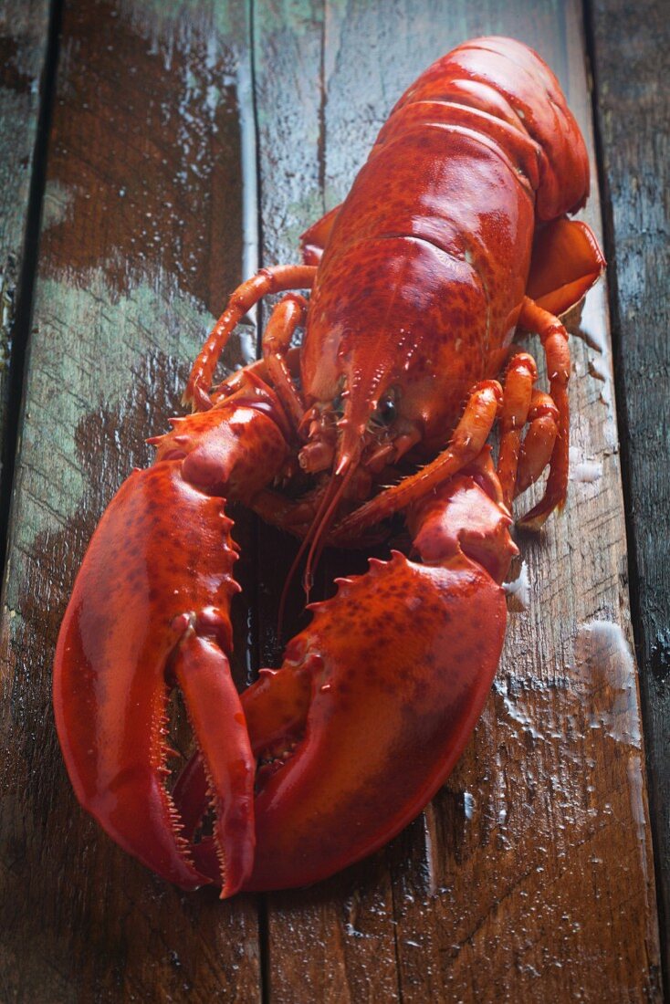 A whole cooked lobster on a wooden surface