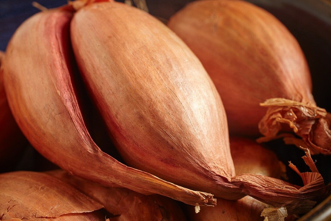 Shallots (close-up)