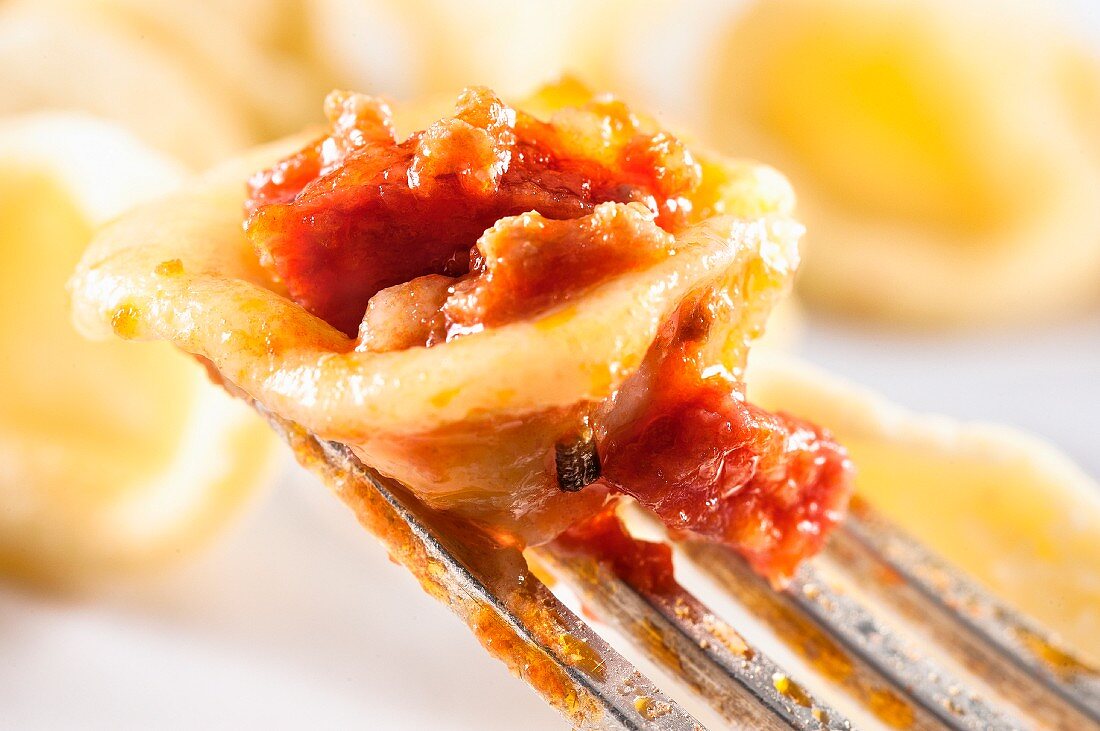 Orecchiette al ragù di carne e salame (Öhrchennudeln mit Fleisch-Wurst-Sauce, Italien)