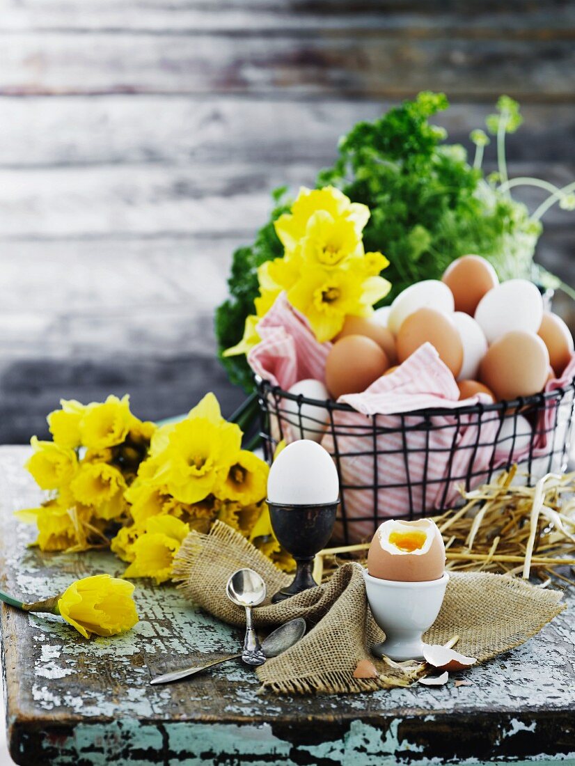 Korb mit Eiern, Narzissen und Frühstückseier auf altem Holztisch