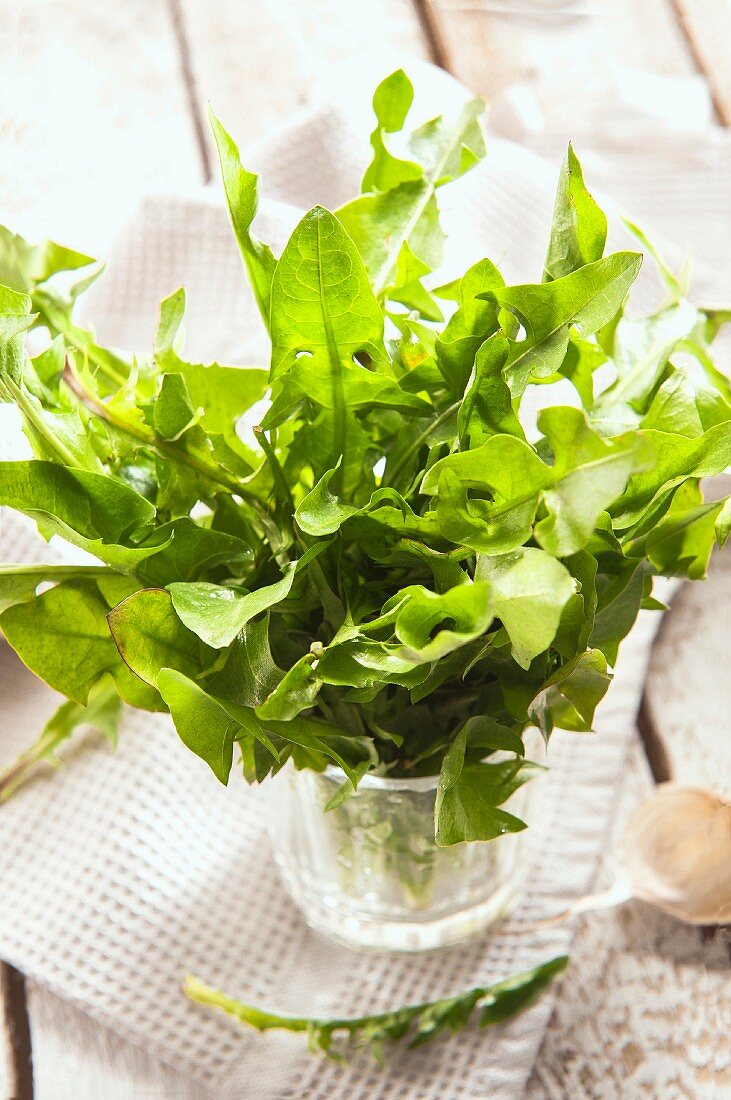 Fresh dandelion leaves in a glass