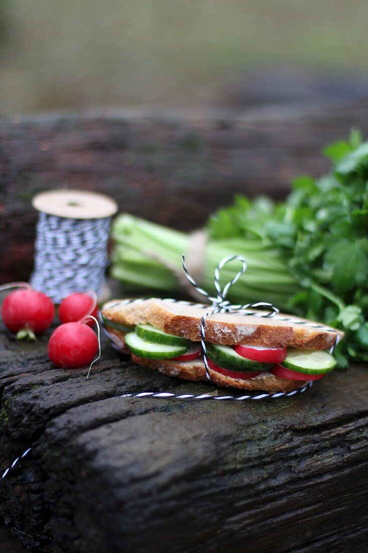 Sandwich mit frischem Gemüse für die Brotzeit