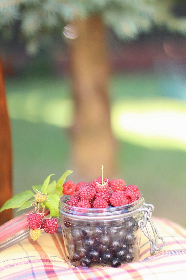 Raspberries and redcurrants in a jar on a garden chair
