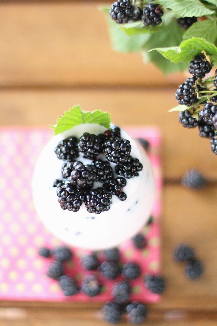 Yogurt with fresh blackberries