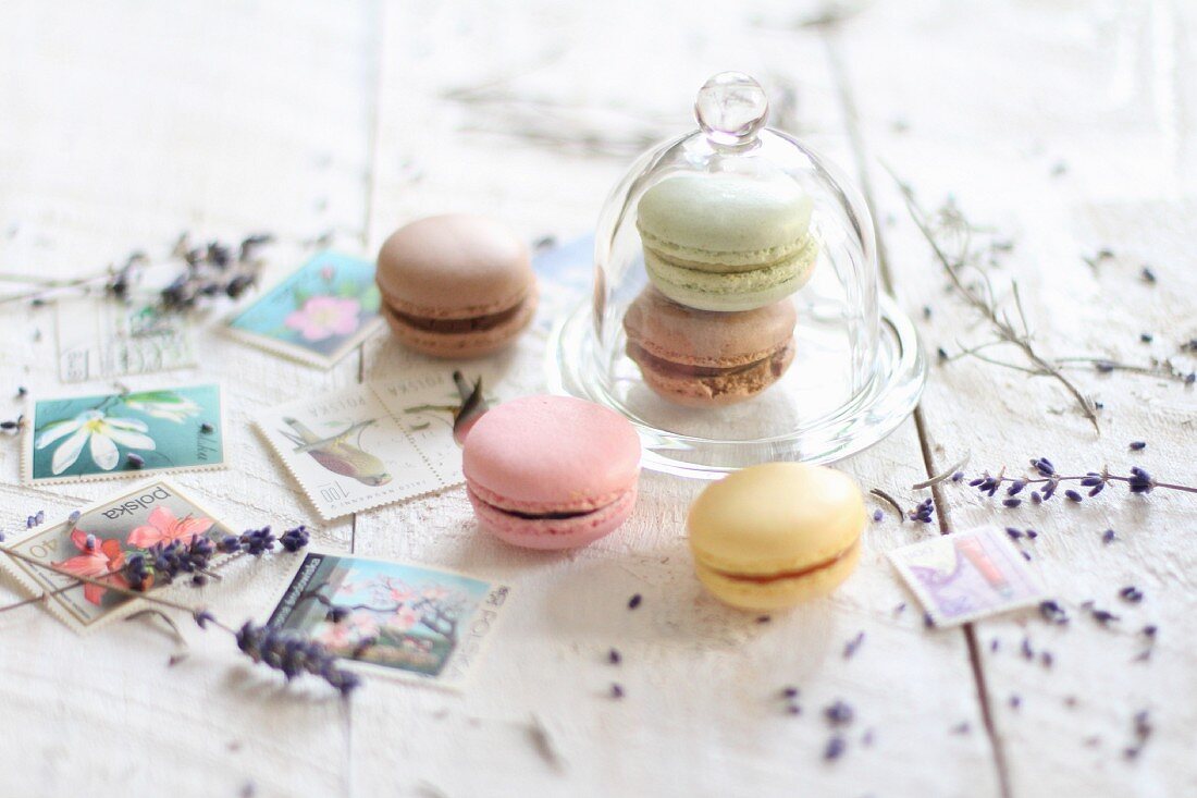 Verschiedene Macarons