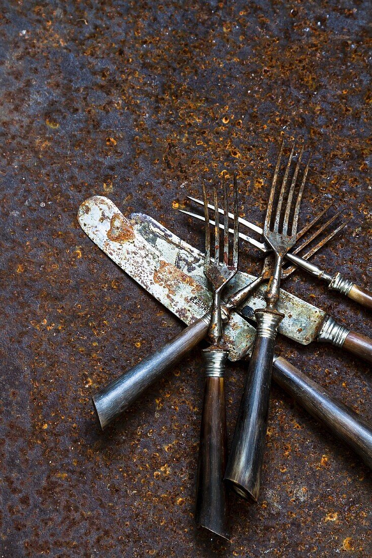 Old, rusty cutlery
