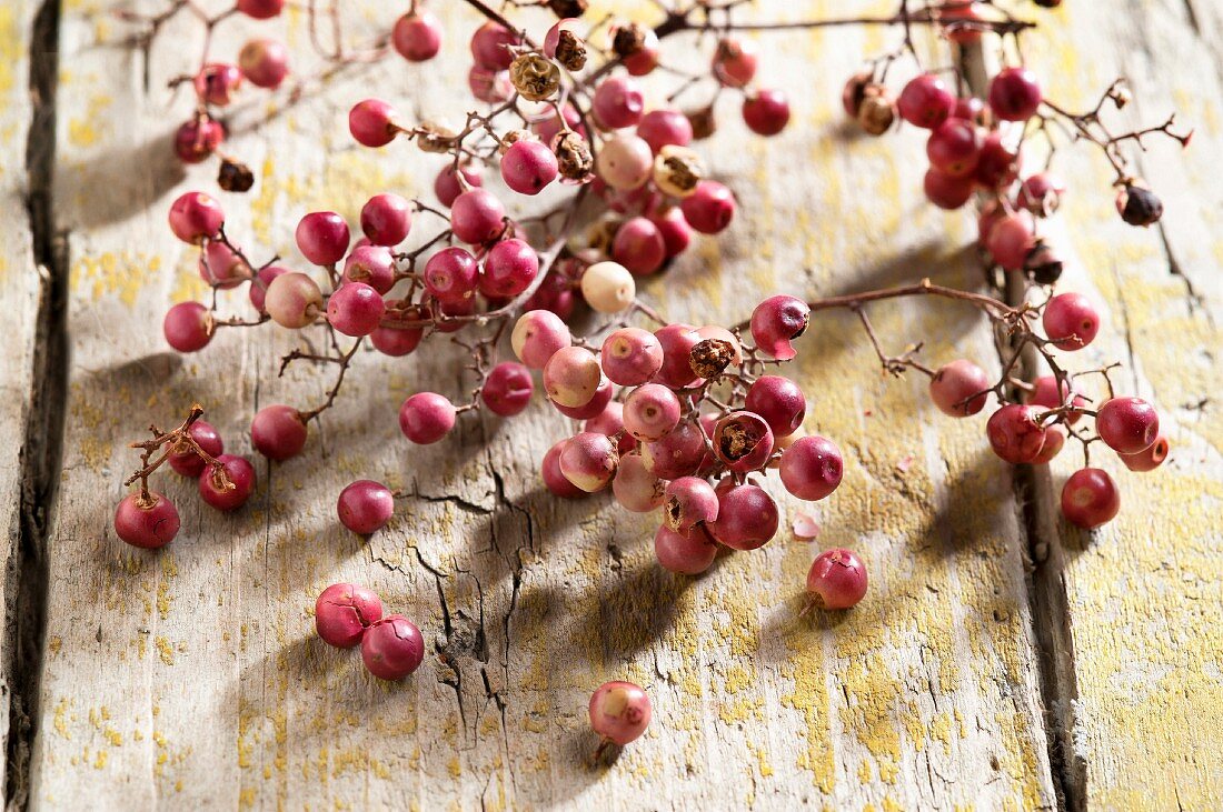 Fresh pink peppercorns on a vine