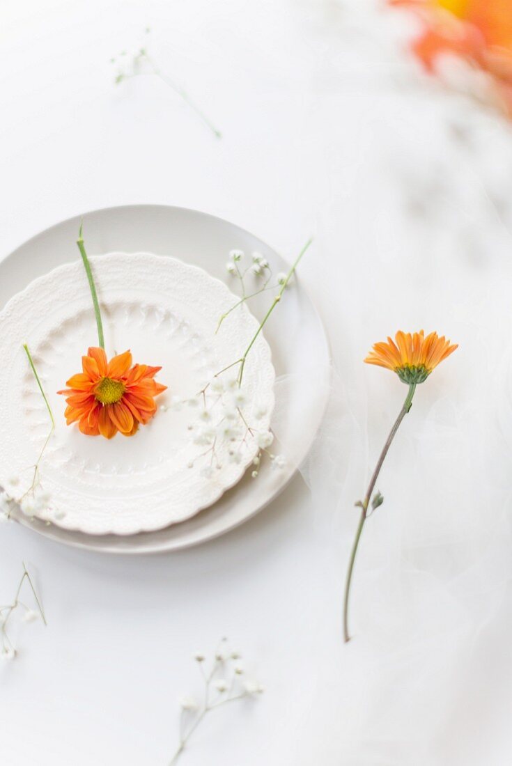A summer place setting with baby's breath and marigolds