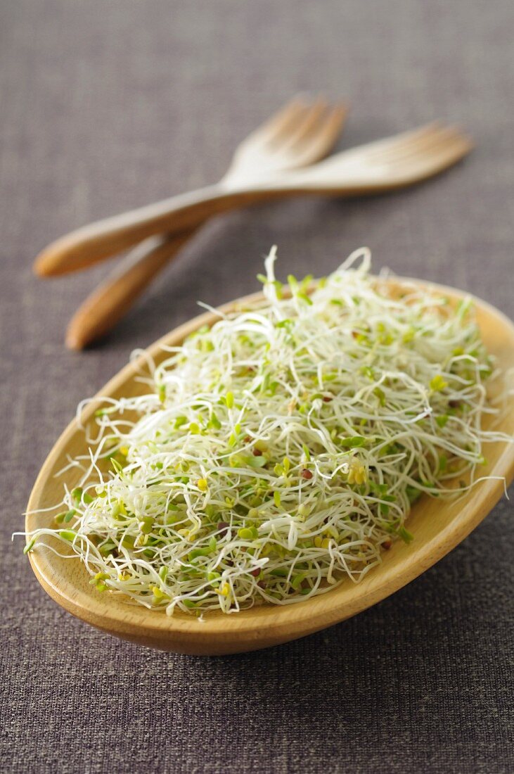 Fresh bean sprouts in a wooden bowl