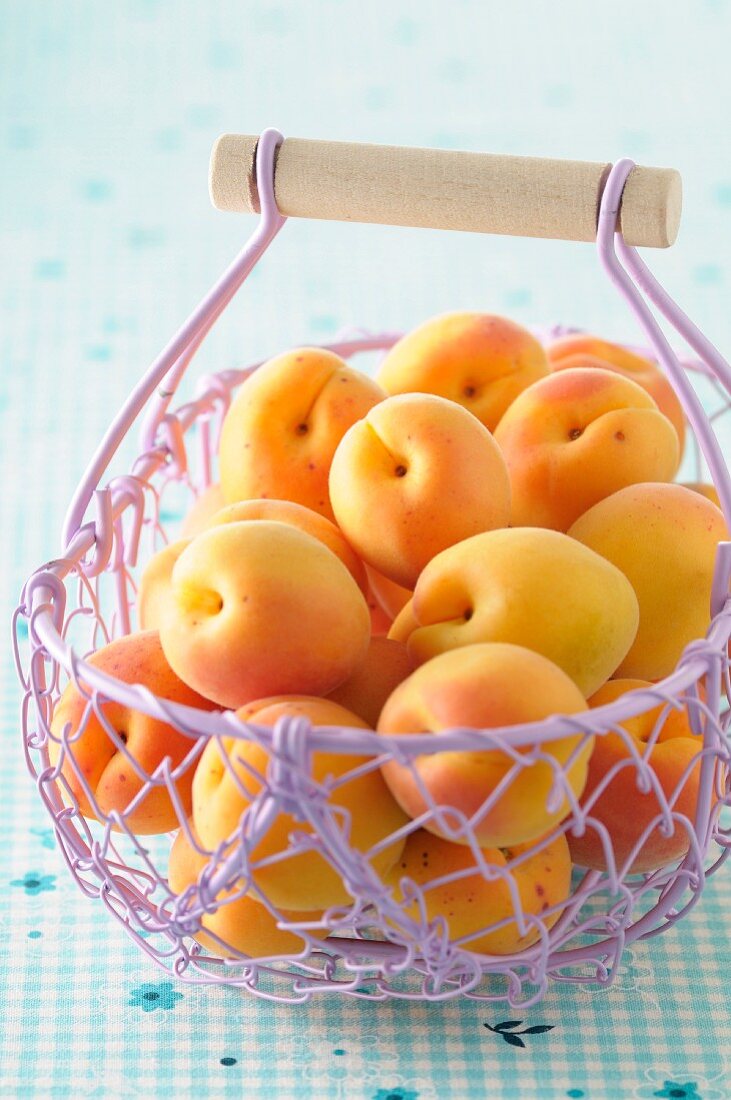 Frische Aprikosen in fliederfarbenem Drahtkorb