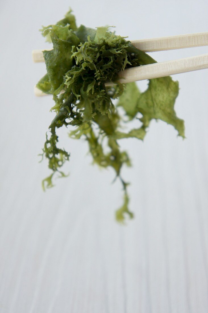 Algae on chopsticks (Japan)