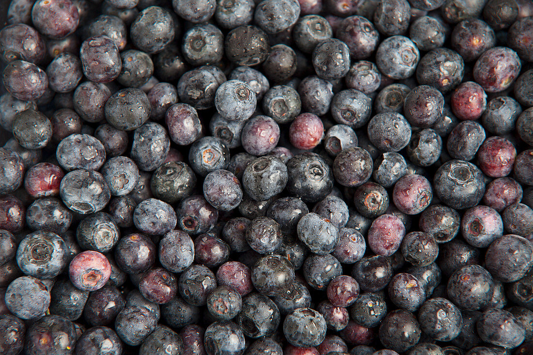 Fresh blueberries (full frame)