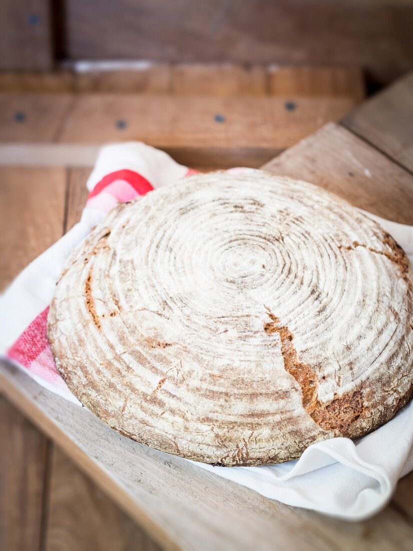 A round loaf of homemade sour dough rye-wheat bread on a tea towel