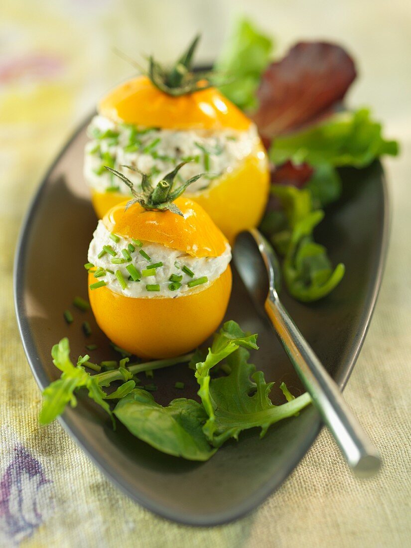 Gefüllte gelbe Tomaten mit Quark und Schnittlauch