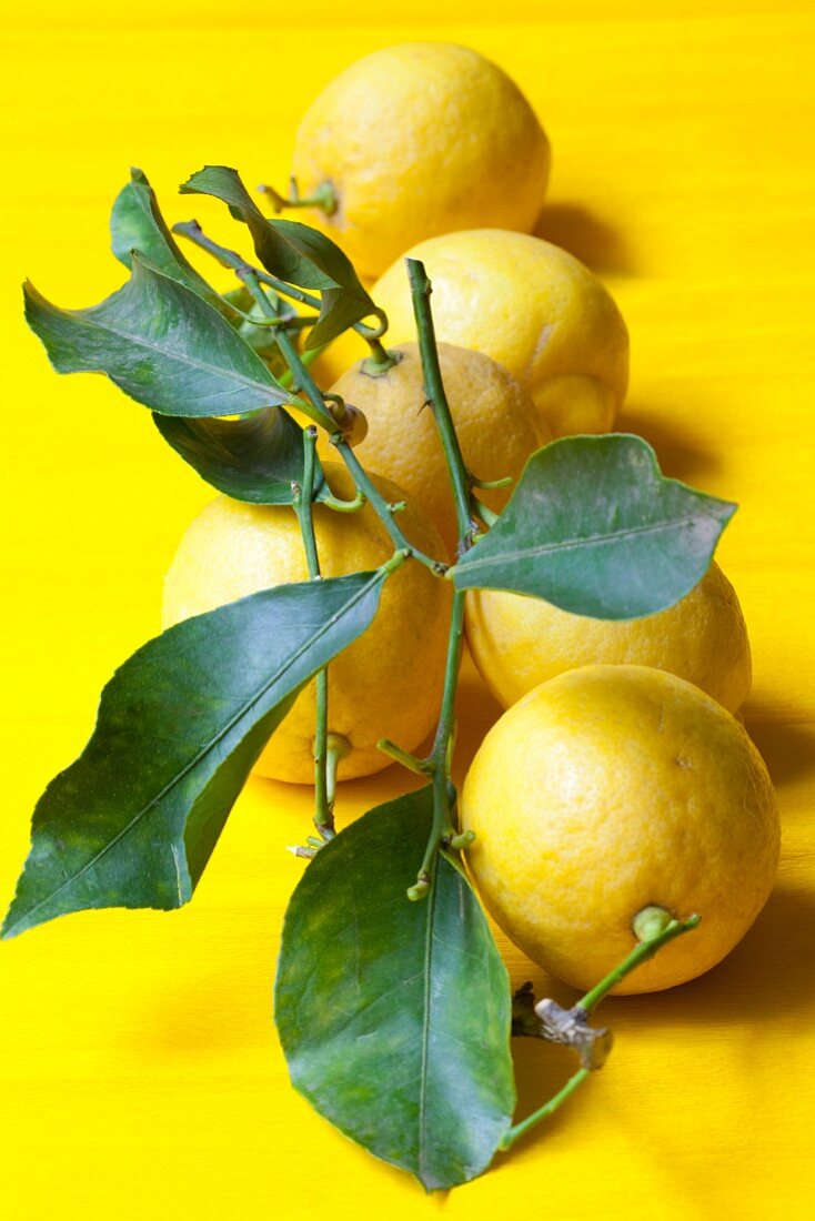 Mehrere Zitronen mit Stiel und Blättern