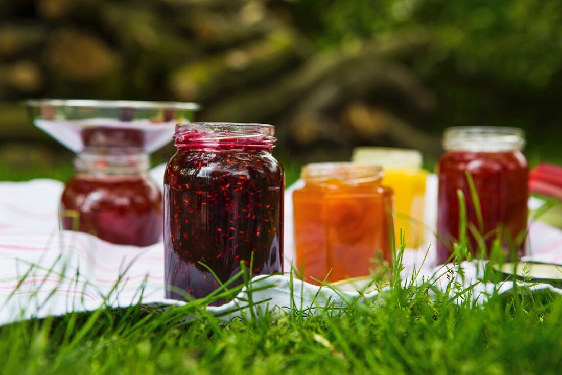 Homemade jams in a garden