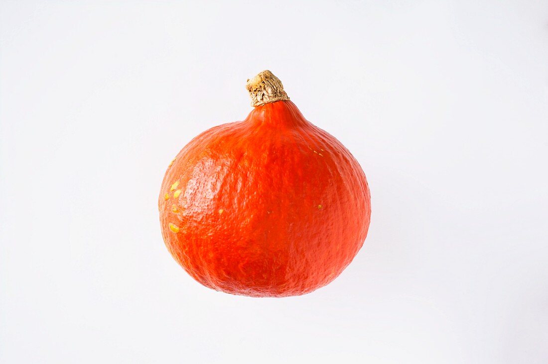 A Hokkaido squash